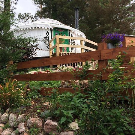 The Tall Pines Yurt Helmsdale Bagian luar foto