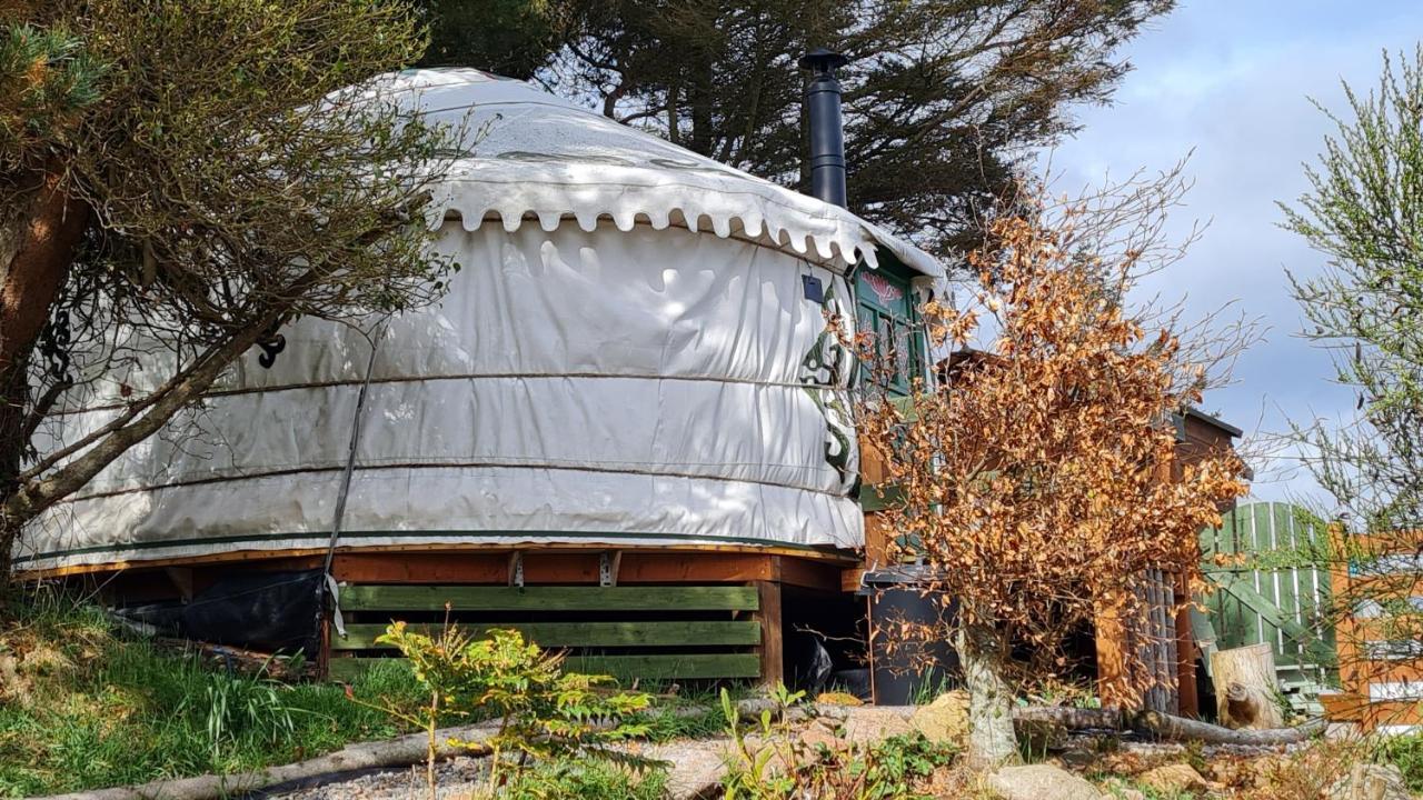 The Tall Pines Yurt Helmsdale Bagian luar foto