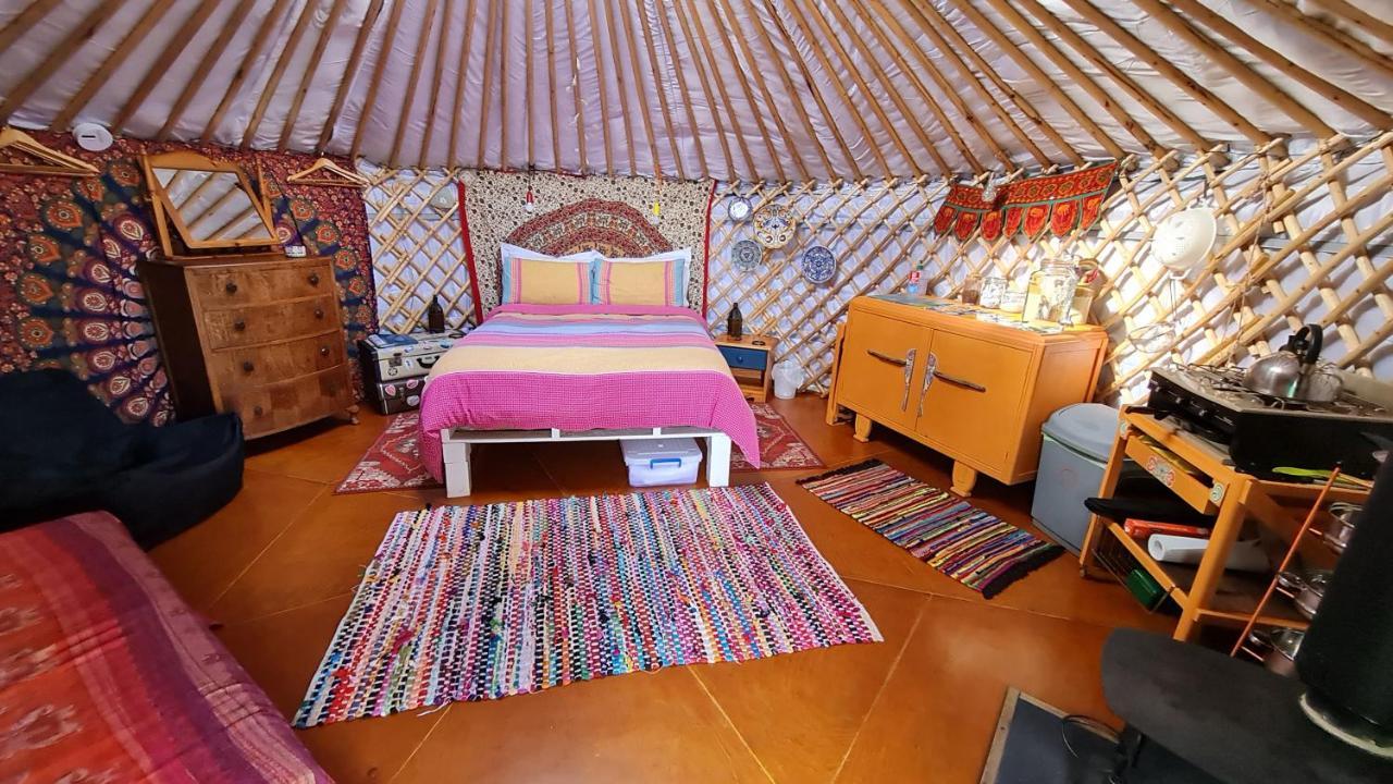The Tall Pines Yurt Helmsdale Bagian luar foto