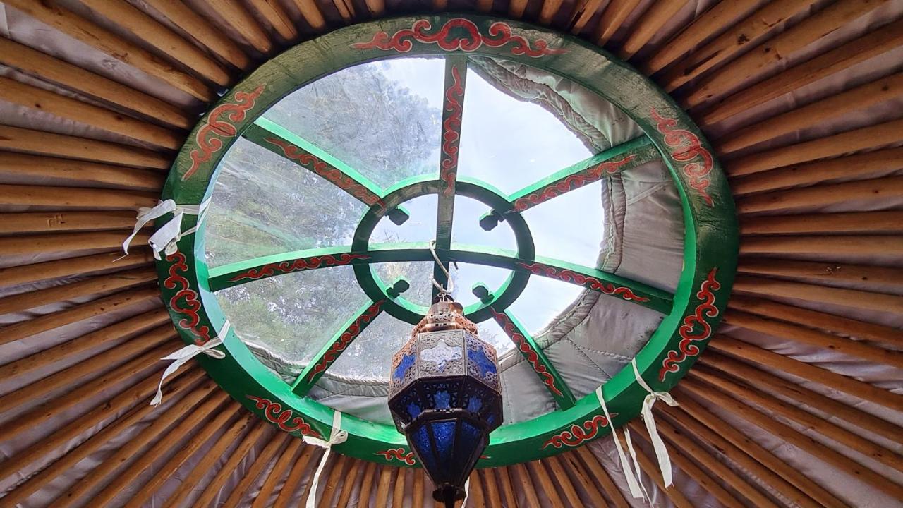 The Tall Pines Yurt Helmsdale Bagian luar foto