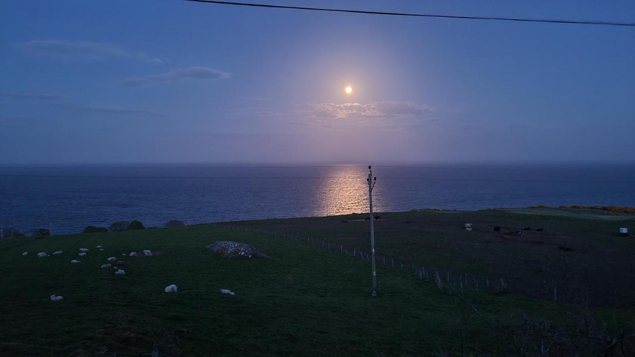 The Tall Pines Yurt Helmsdale Bagian luar foto