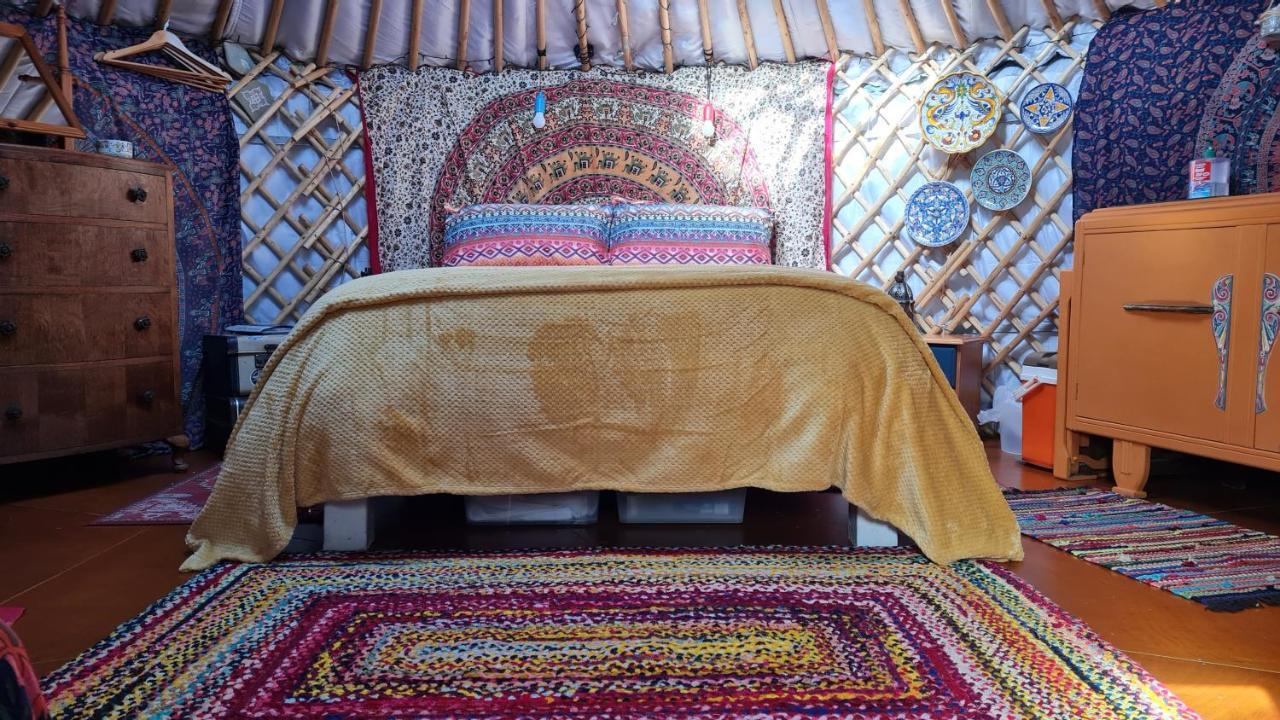 The Tall Pines Yurt Helmsdale Bagian luar foto