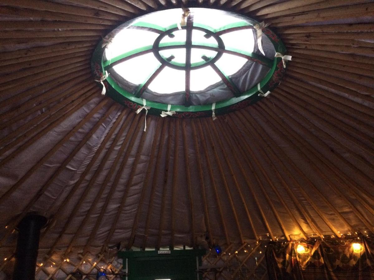 The Tall Pines Yurt Helmsdale Bagian luar foto