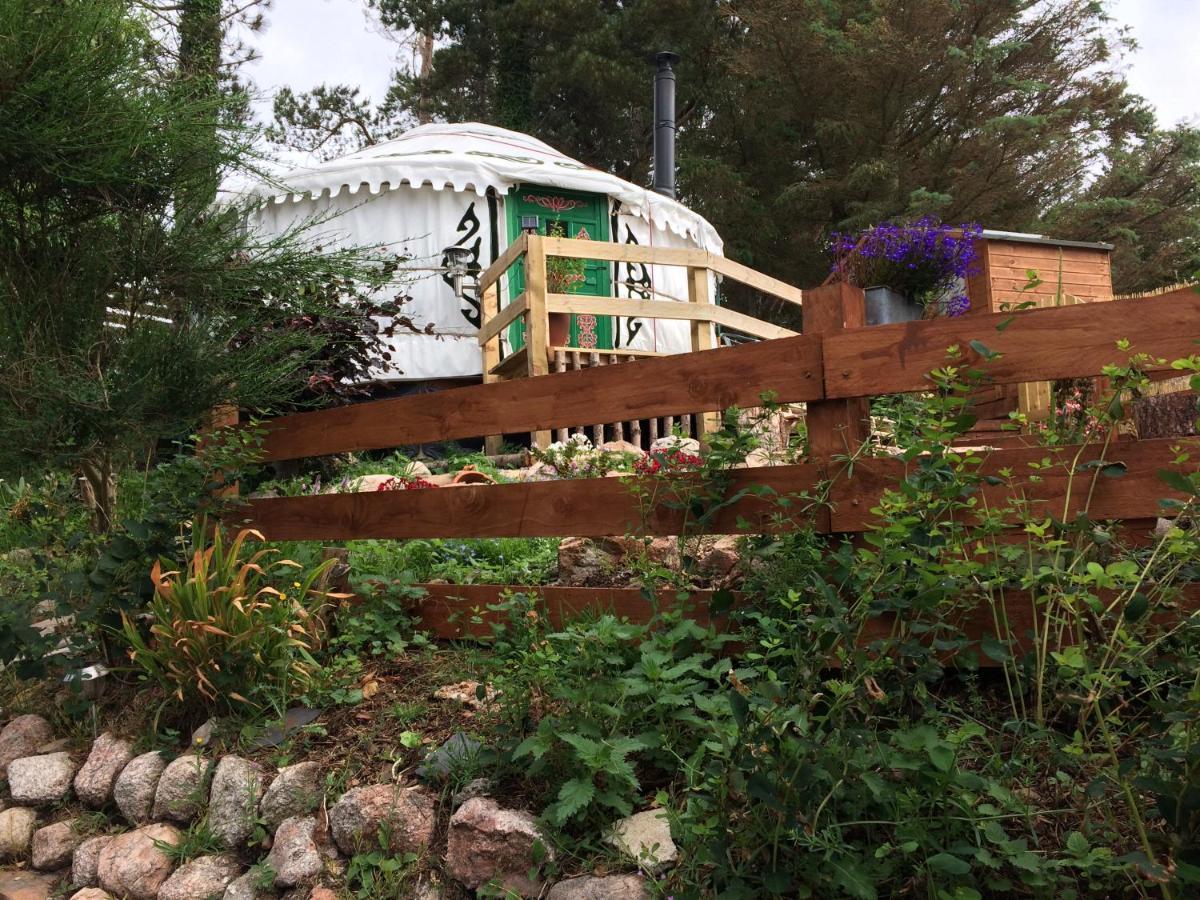 The Tall Pines Yurt Helmsdale Bagian luar foto